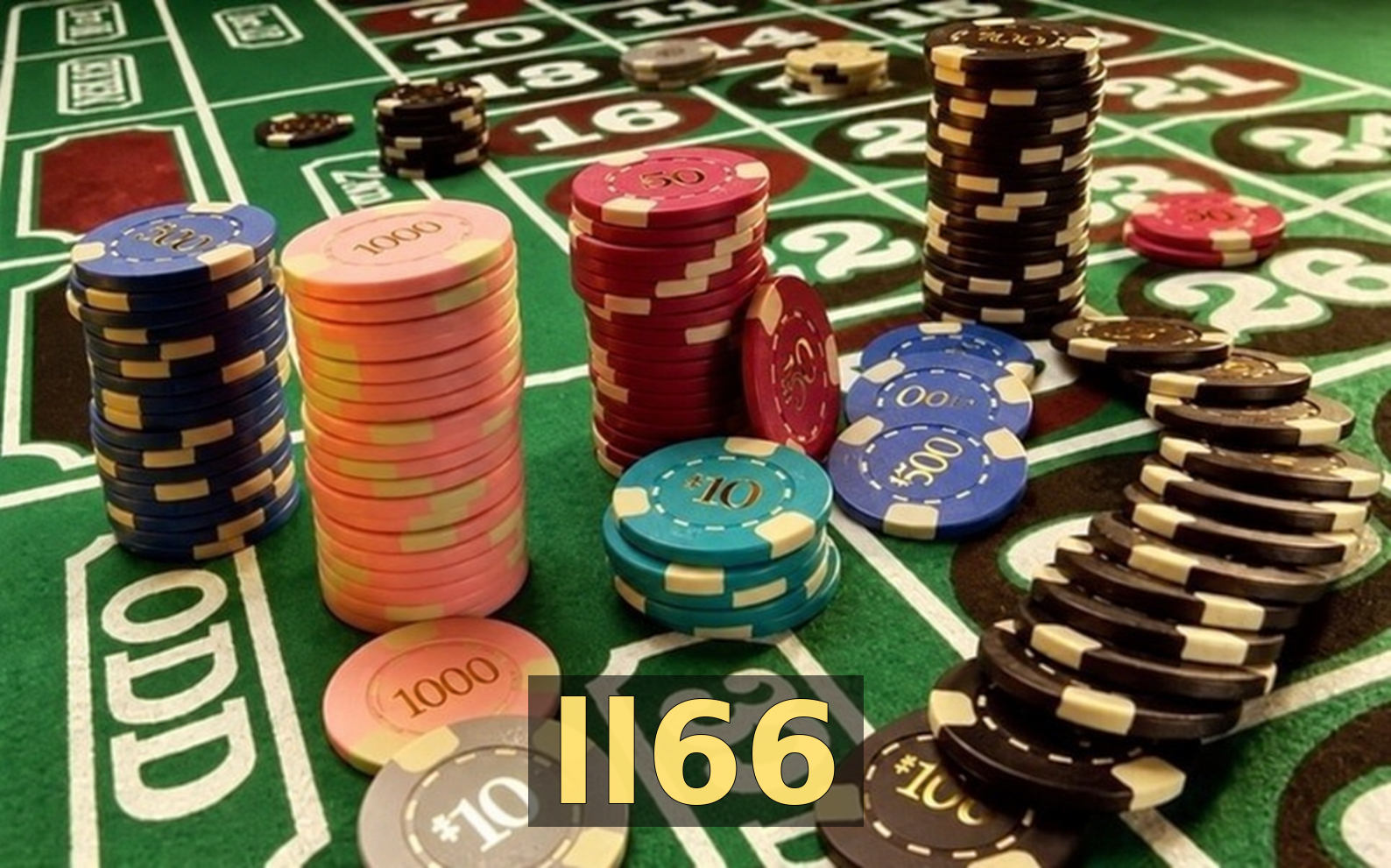 ll66 - Galeria 3